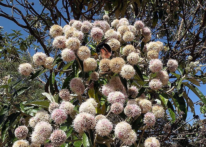 Bosque dos Beija-Flores Pousada e Spa