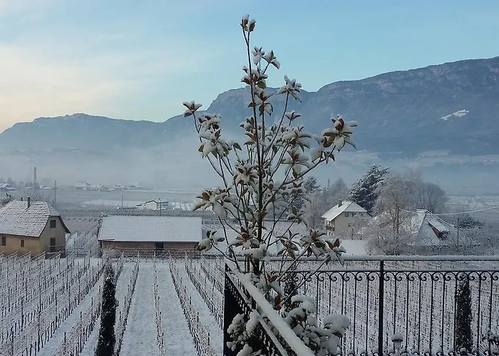 Hotel Brandlgut Bozen