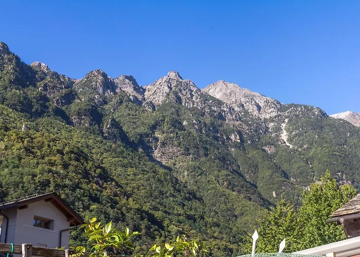 La Sciora Oliva