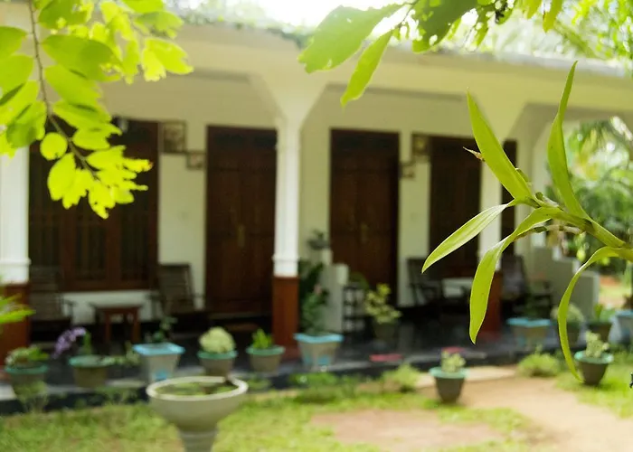 Sigiriya Flower Guest