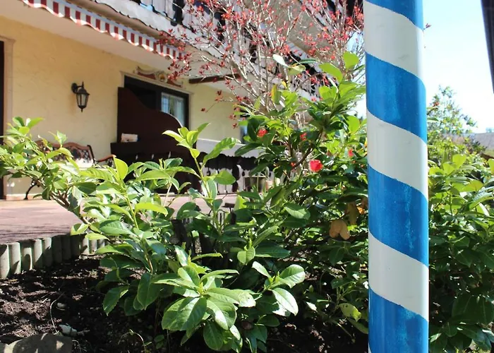 Birkenhof Pension Mit Herz Pfronten