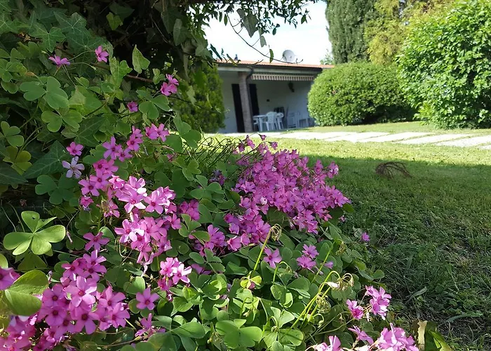 Italsol Residence Riai Moniga del Garda