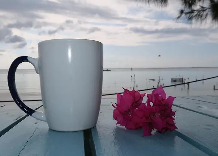 Eco Hotel Club Rolling Stone Boca Chica 