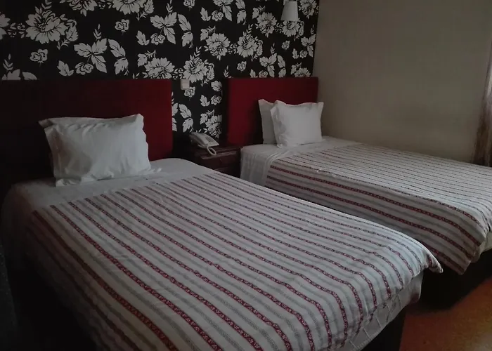 Hotel Kamanga Tomar