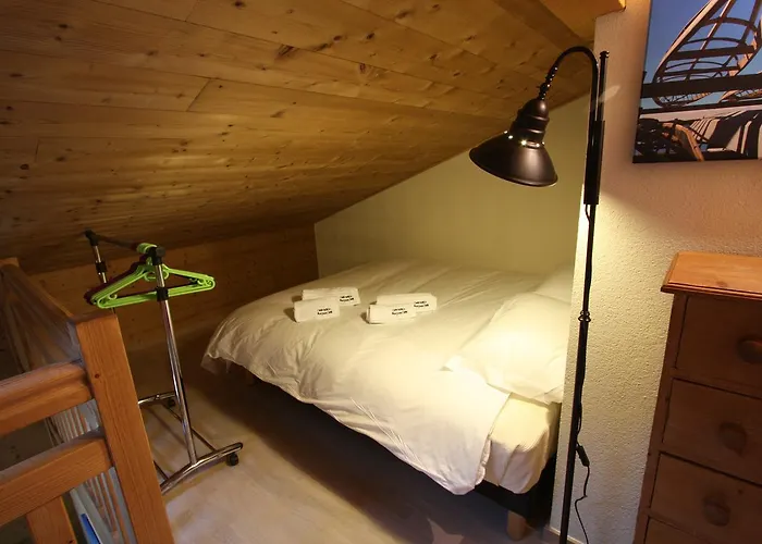 Les Lanchers Appartements In The Center Of Chamonix