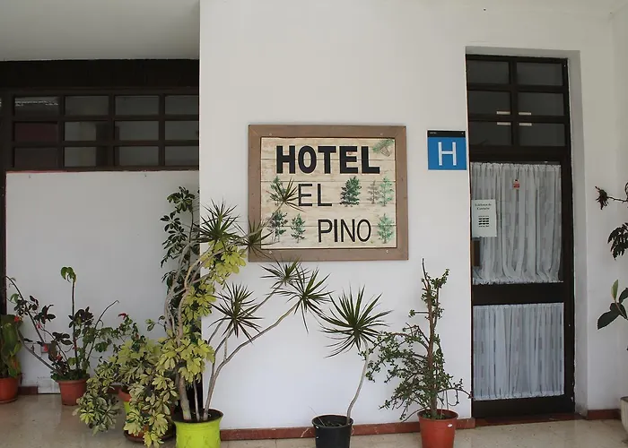 Hotel el Pino Teror