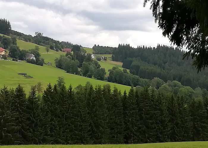 Schwarzwaldgasthaus Salenhof Titisee-Neustadt