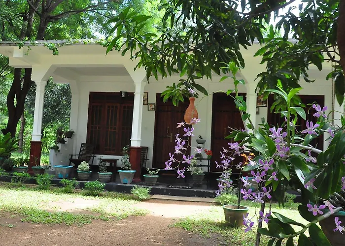 Sigiriya Flower Guest