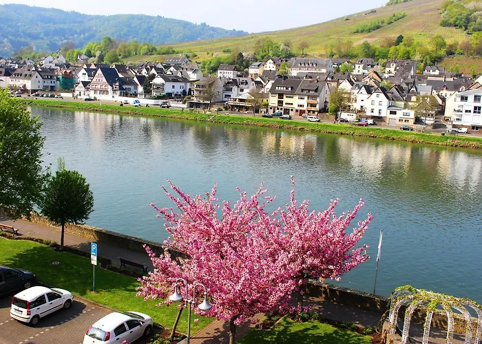 Pension Adelheid Moselhype&Wine