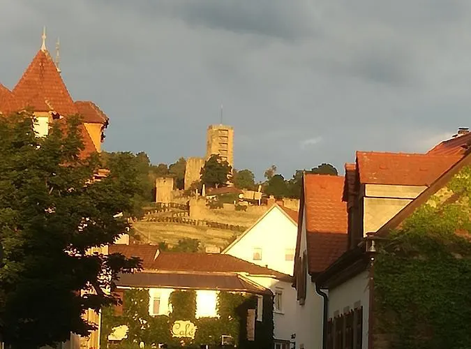 Gästehaus Bacchus Wachenheim an der Weinstraße