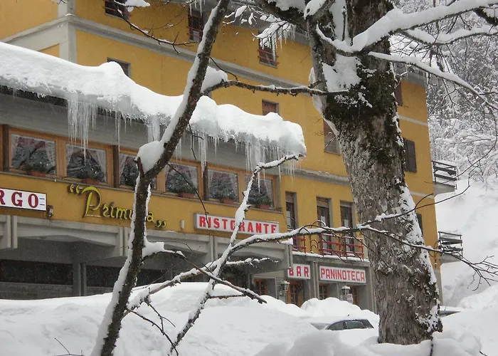 Hotel Primula