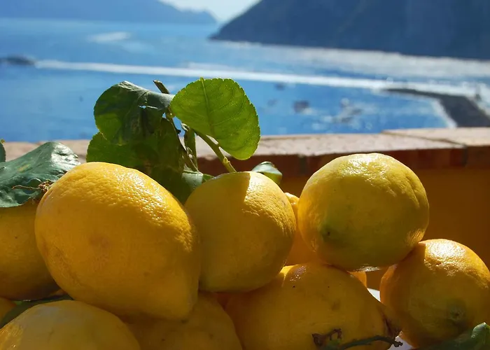 Bed and Breakfast La Terrazza sul Mare Capri