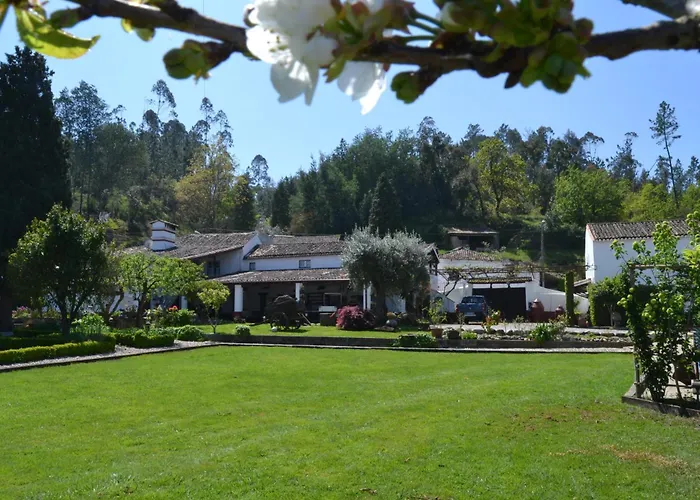 Quintal De Alem Do Ribeiro-Turismo Rural Lousã