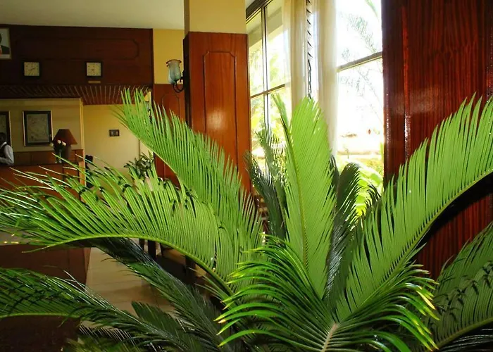 Kivi Milimani Hotel