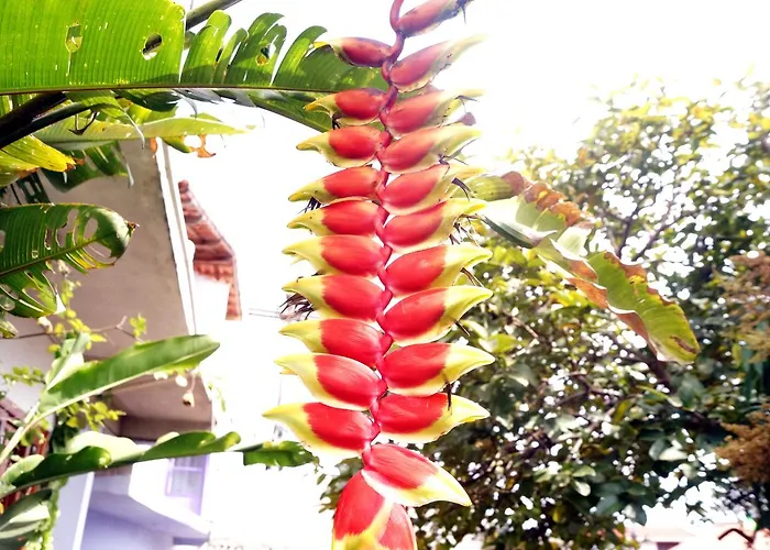 Pousada Namastê São Tomé das Letras