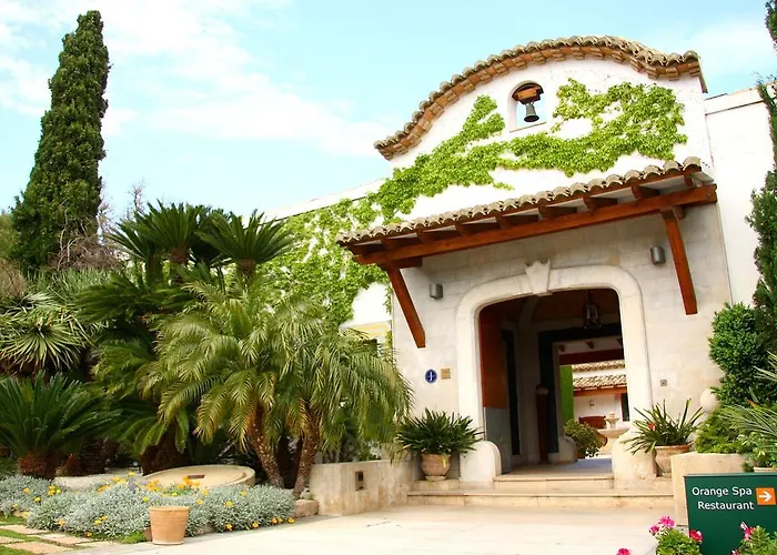 Sh Mas De Canicatti Oliva