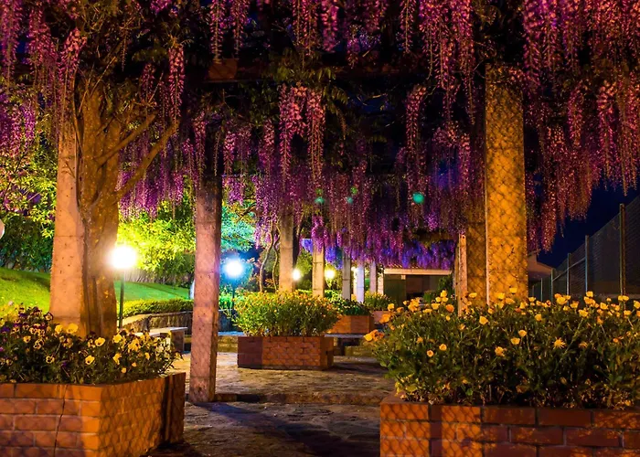 Hotel Belsol Belmonte 