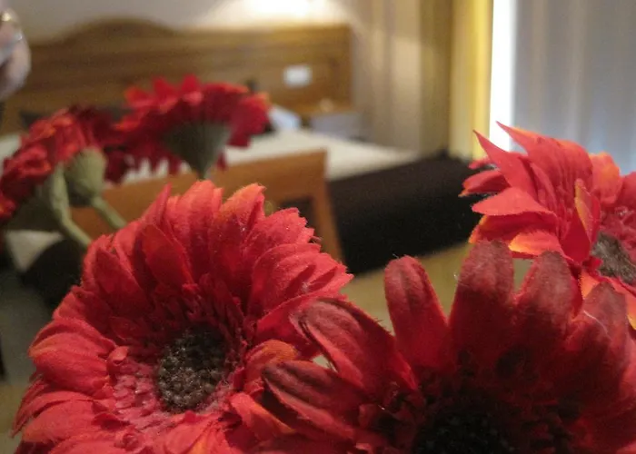 Hostal Arba