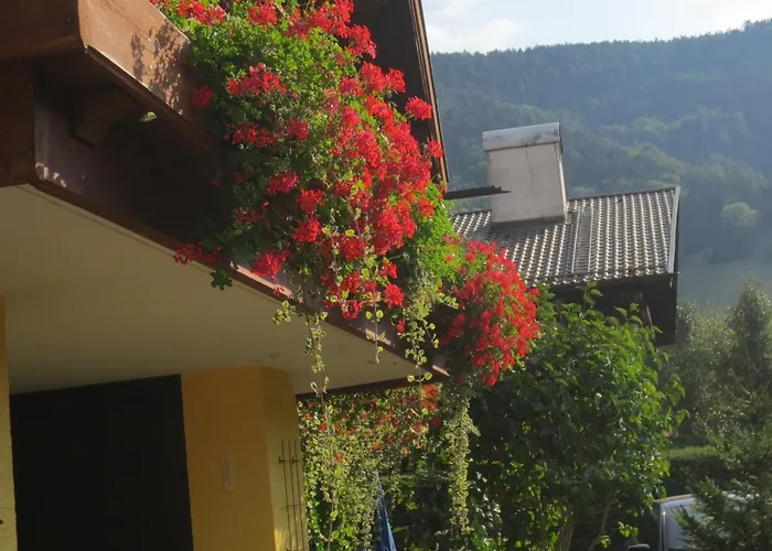 Hotel Alp Inn - Chiemgaukarte Inclusive Ruhpolding