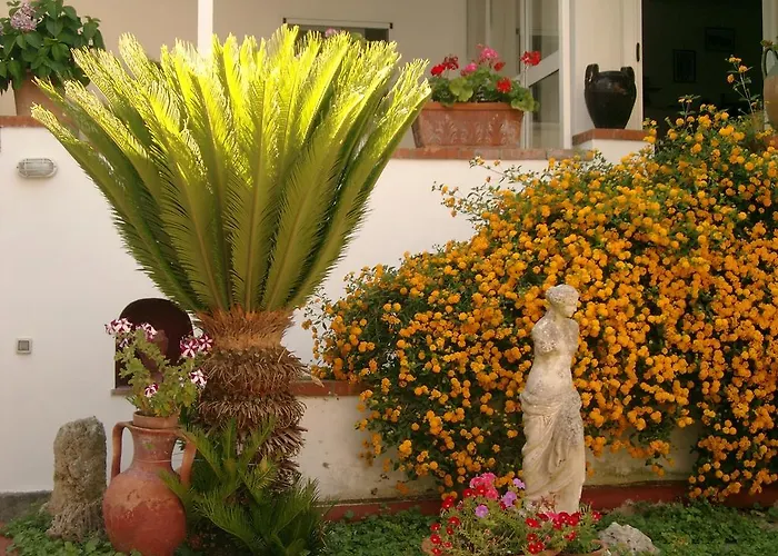 Mediterraneo Bed & Breakfast Anacapri 