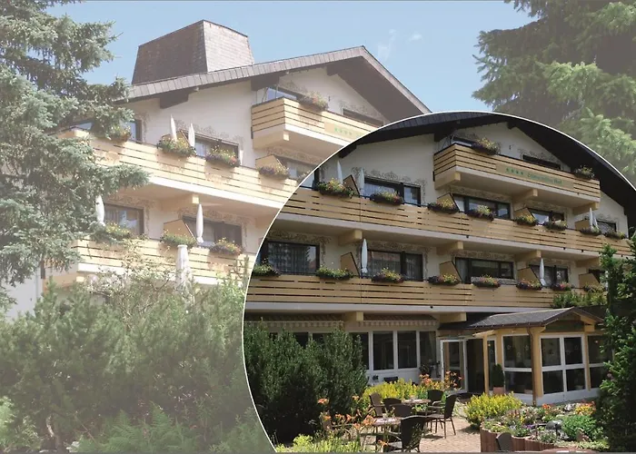 Forsters Schwarzwald Hof - Resort-Hotel&Pension Feldberg 