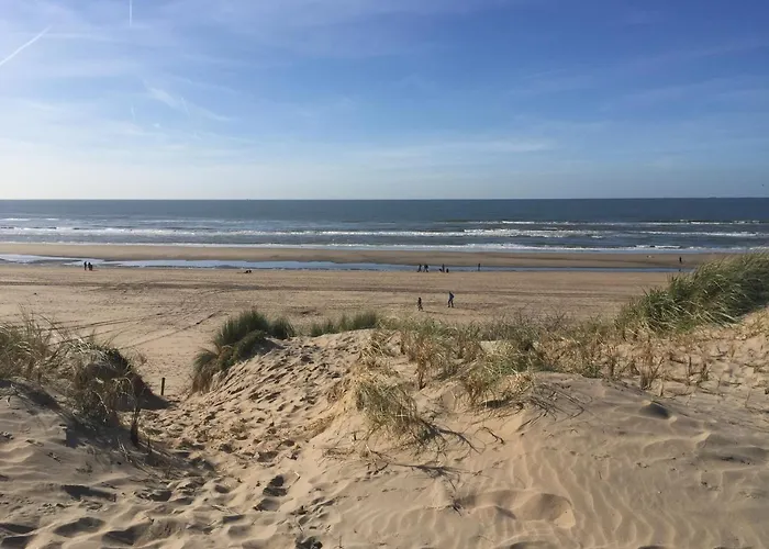 Duynsandt Zandvoort