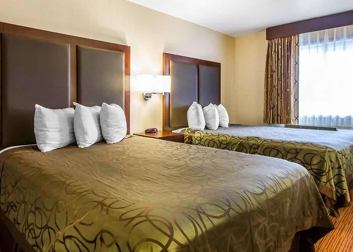 Econo Lodge University Flagstaff