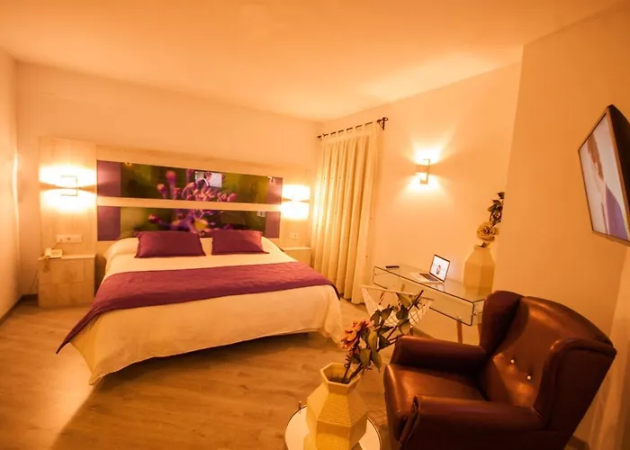 Hotel Hc Zoom