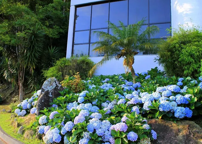 Hotel Recanto das Hortênsias Passa Quatro