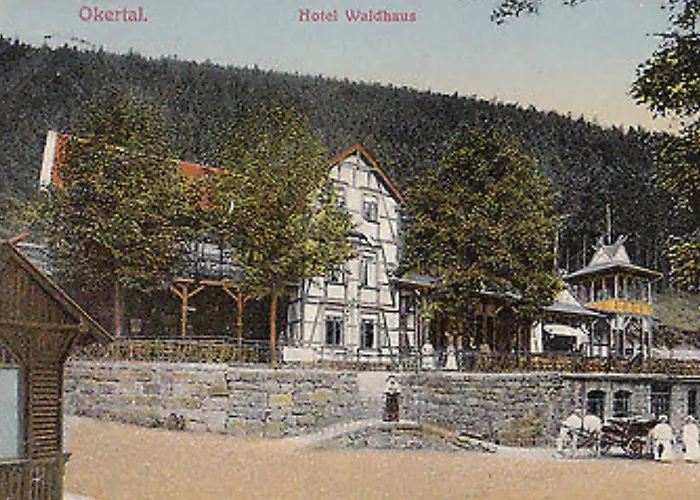 Hotel Waldhaus Im Okertal Goslar