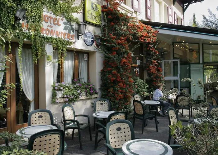 Hotel Les Marronniers Thonon-les-Bains