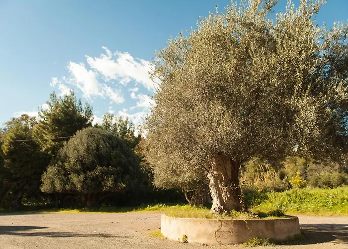 Bed and Breakfast L'Albero Porto Empedocle
