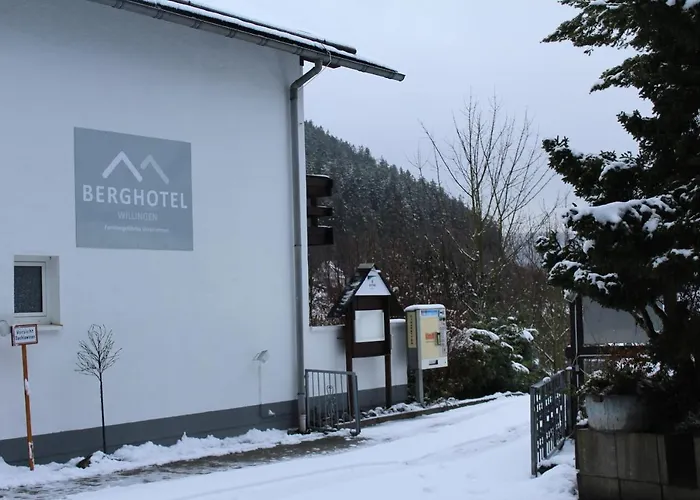 Berghotel-Willingen