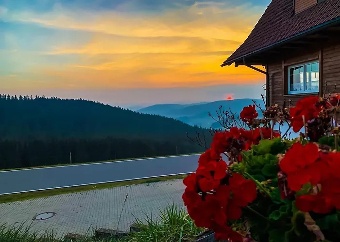 Pension Forsthaus Taele - Das Gaestehaus Vom Schwarzwaldgasthaus Salenhof Titisee-Neustadt
