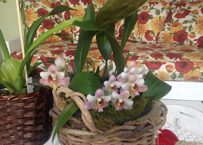 Pousada Beija Flor Gramado