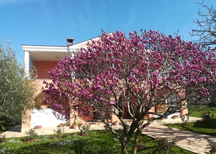 B&B Carmela