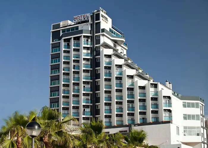 La Familia Gallo Rojo El Campello