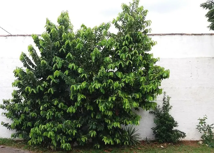 Pousada Estrela Da Praia Guarapari