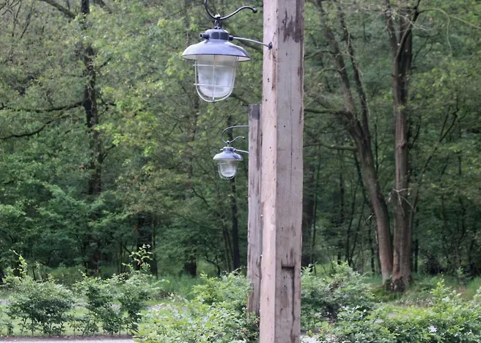 B&B de Sfeerhoeve Beilen
