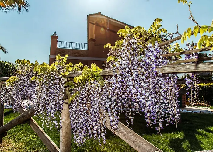 Agriturismo B&B Le Gazze