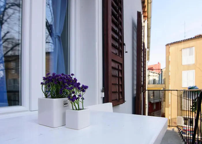 Old City Rooms By Adriaticexplorer Zadar