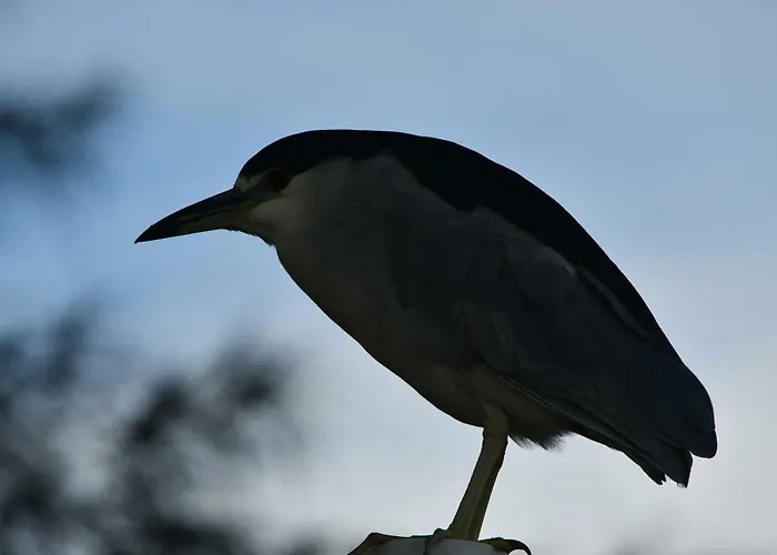 Pousada Barra Sul Laguna