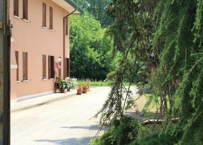 Quo Vadis Qui Vieni