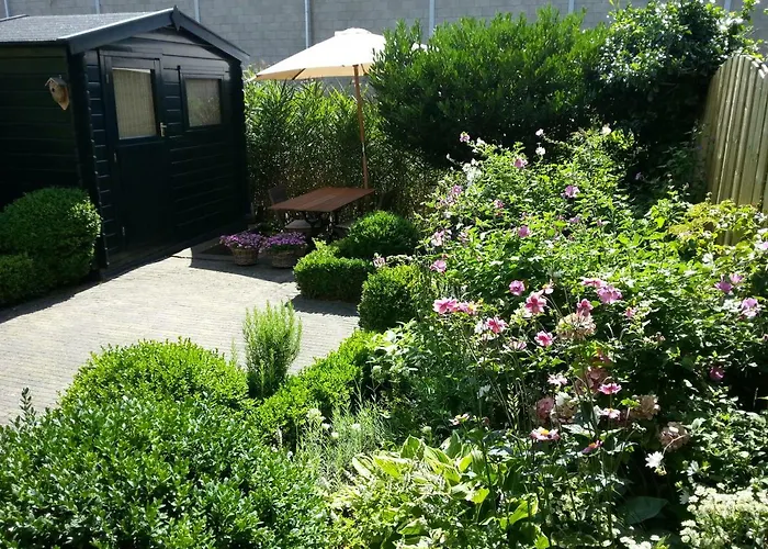 Bed&Breakfast Frans Hals Haarlem