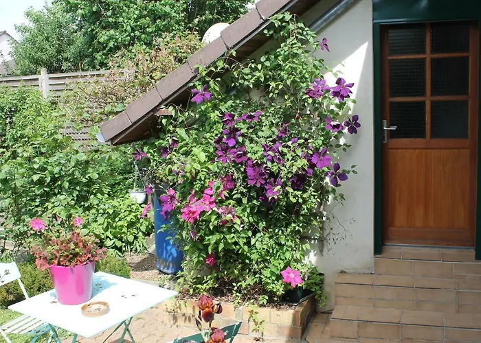Chambre d'Hôtes Orchidees Nogent-le-Rotrou