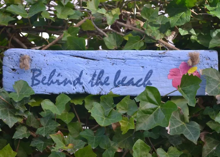 Behind the Beach