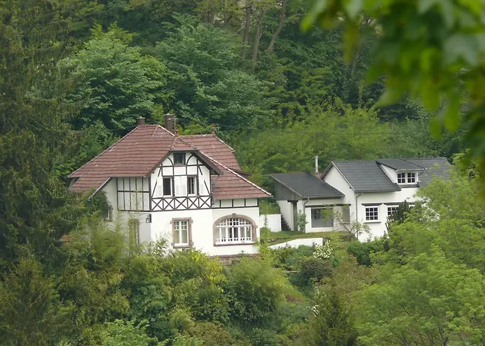 La Dependance de la Villa des Oiseaux - La Petite Pierre