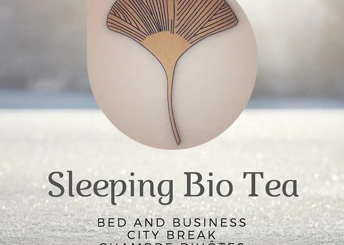 Bed and Breakfast Sleeping Bio Tea à Thionville