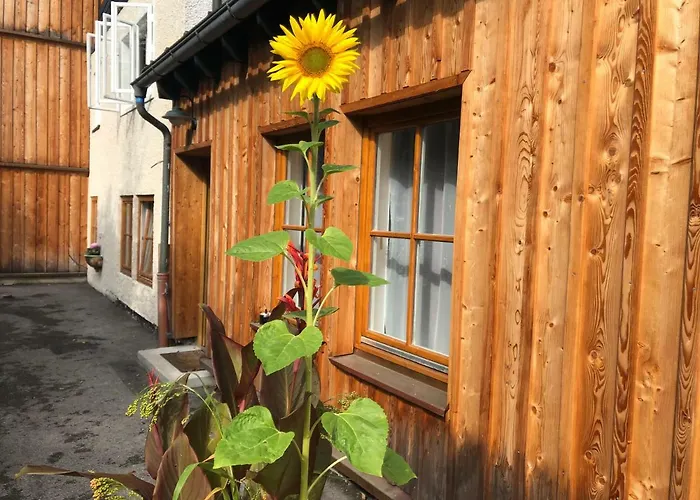 Fenix Hall Boutique Hotel Hallstatt