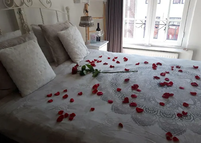 De Slapende Leeuw Bed and Breakfast Middelburg